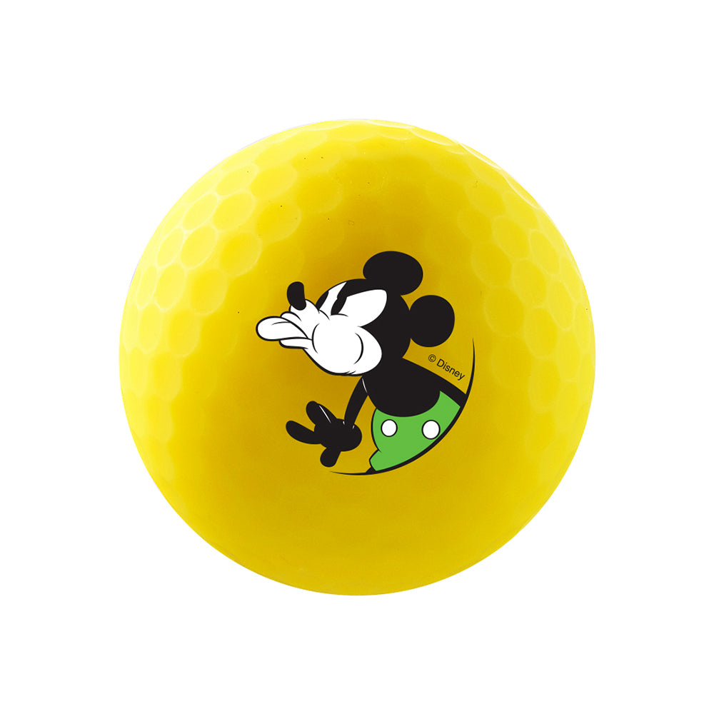 Disney Mickey Mouse (Paint Edition)